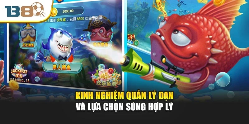 Kinh nghiệm quản lý đạn và lựa chọn súng hợp lý