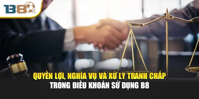 Điều khoản sử dụng 3 Quyền lợi, nghĩa vụ và xử lý tranh chấp trong điều khoản sử dụng B8